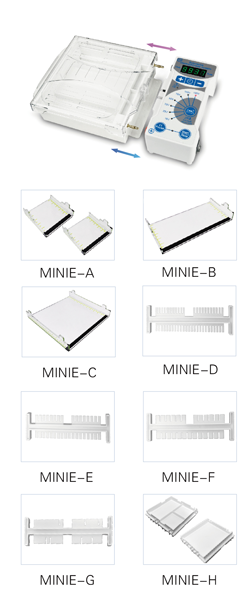 MINIE-135水平凝胶电泳仪 图片